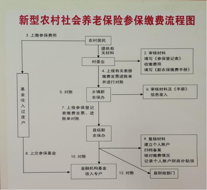 丽水农村医保和社保有什么区别(农村医保跟社保的区别)