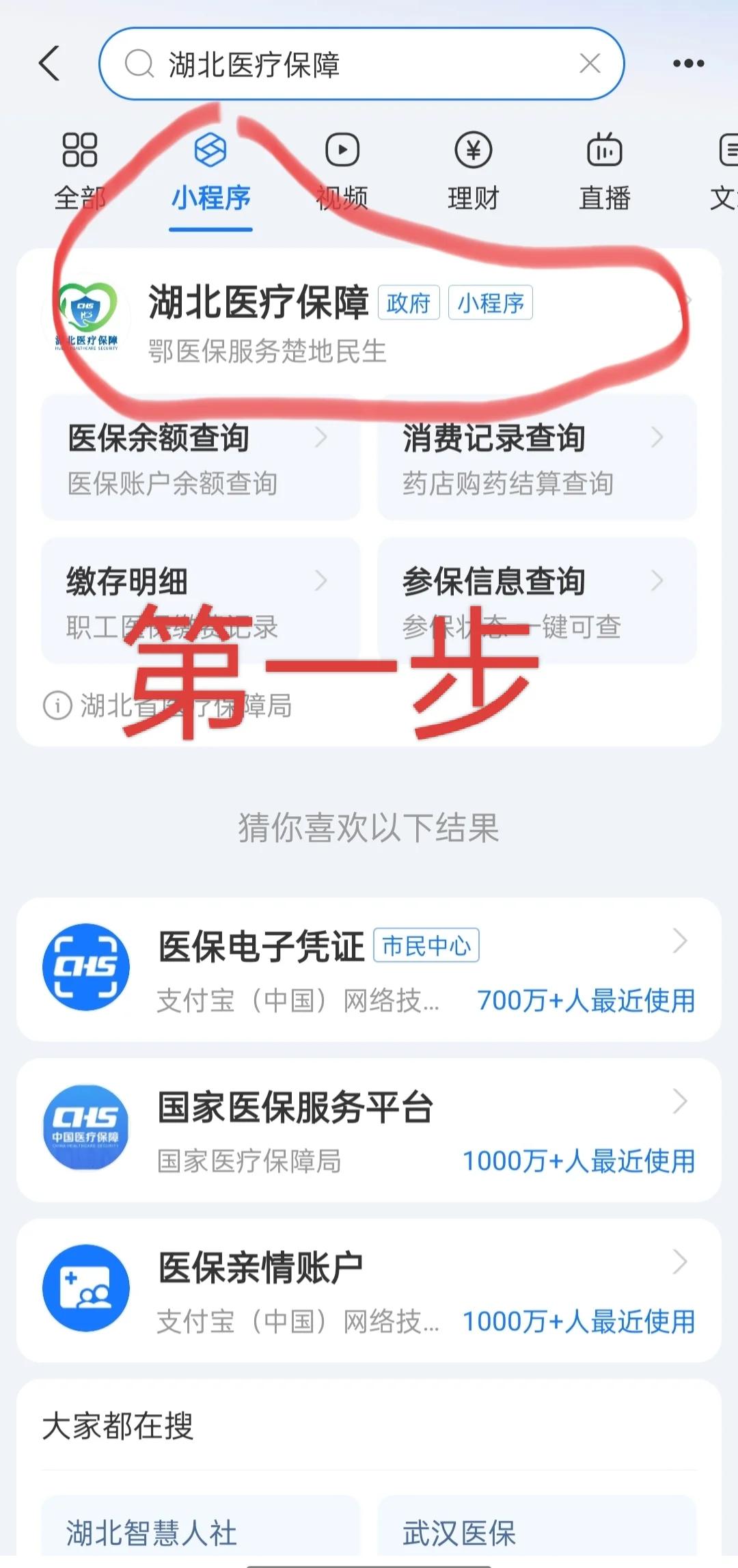 丽水医保网上怎么缴费(孩子居民医保网上怎么缴费)