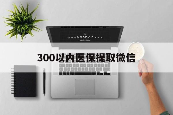 丽水300以内医保提取微信(医保提取24小时中介)
