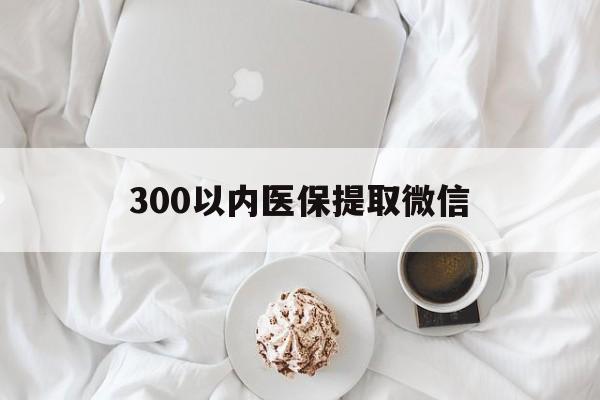 丽水300以内医保提取微信(300以内医保提取微信离职可以用吗)